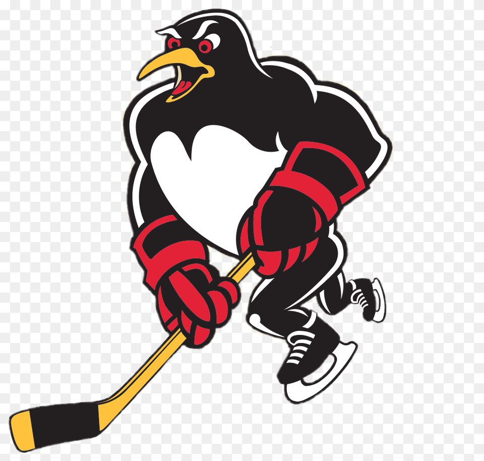 Wilkes Barrescranton Penguins Mascotte, Person Png Image