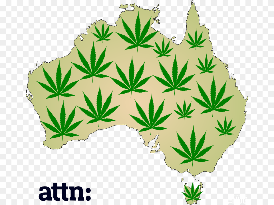 Will Australia Legalize Marijuana Growing Purple Map Of Australia, Leaf, Plant, Weed Free Transparent Png