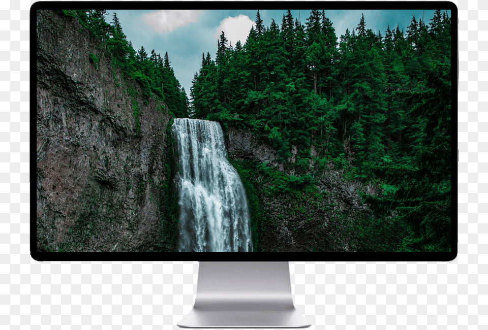 Willamette National Forest, Computer Hardware, Tree, Screen, Plant Free Png
