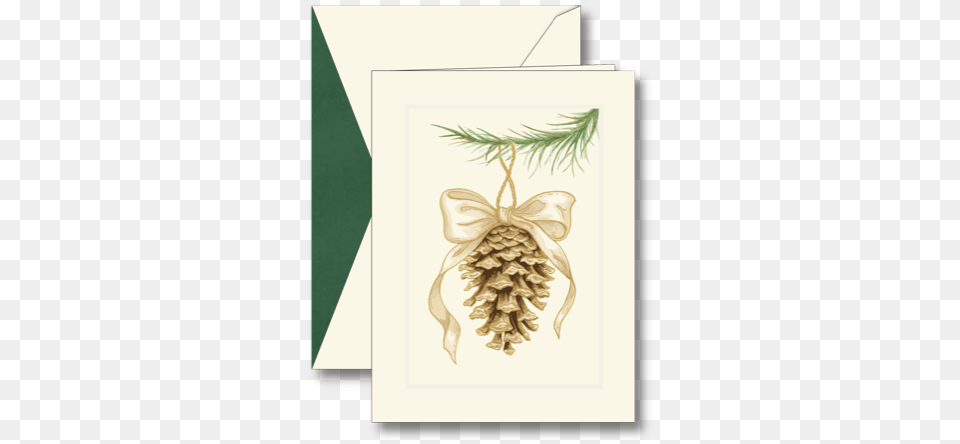 William Arthur Christmas Card Greeting Card, Conifer, Plant, Mail, Tree Free Transparent Png