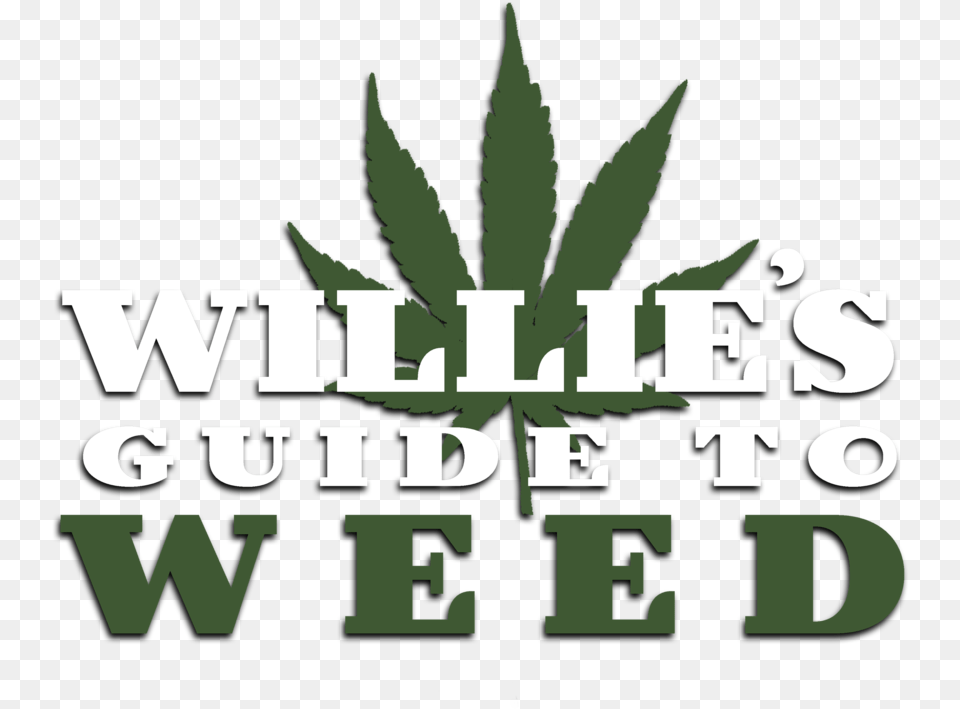 Williesguide 2 Illustration, Plant, Weed, Leaf, Animal Png