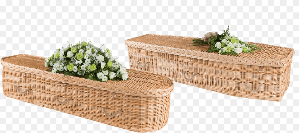 Willow Coffins, Vase, Pottery, Potted Plant, Planter Free Png