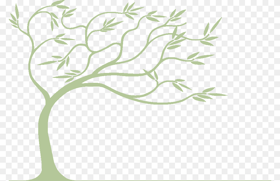Willow Drawing Background Willow Tree Bending In The Wind, Art, Graphics, Herbal, Herbs Free Png