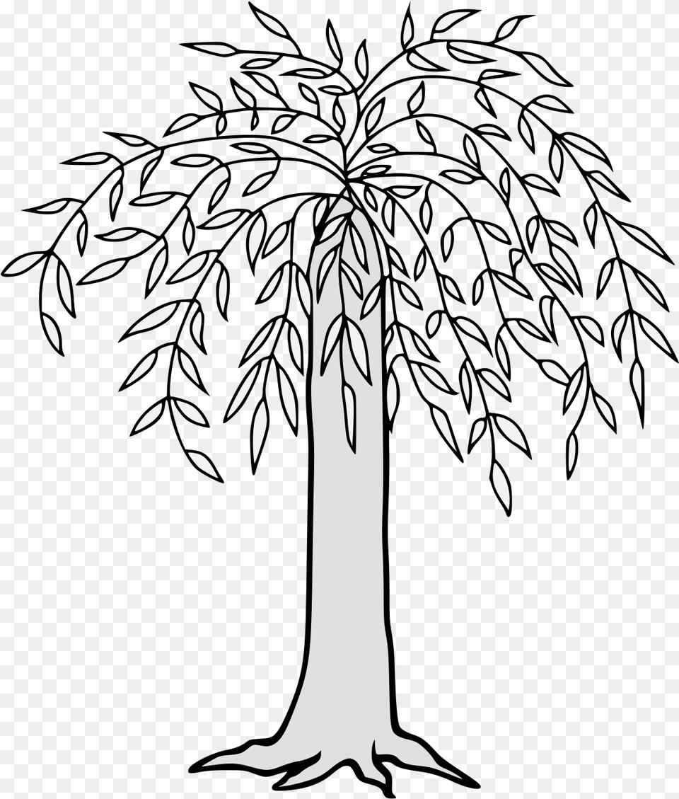 Willow Drawing Palm Tree Weeping Willow Tree Clipart, Art, Stencil Free Png