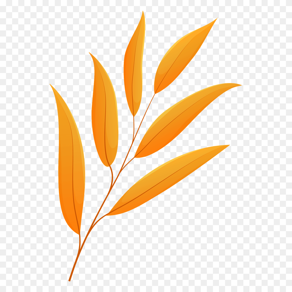 Willow Oak Autumn Leaf Clipart, Plant, Tree, Art, Floral Design Free Transparent Png