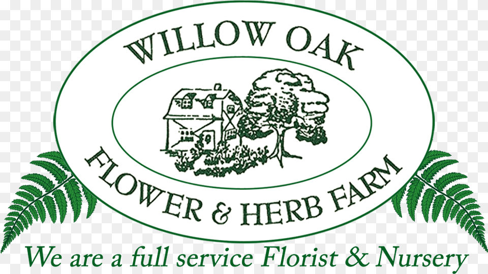 Willow Oak Flower Amp Herb Farm School, Green, Plant, Vegetation Png