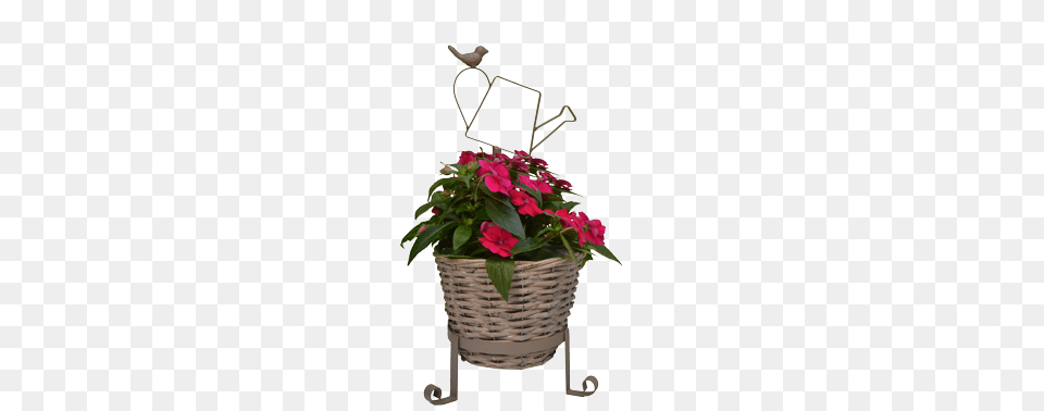 Willow Planter, Plant, Flower, Flower Arrangement, Potted Plant Free Png Download