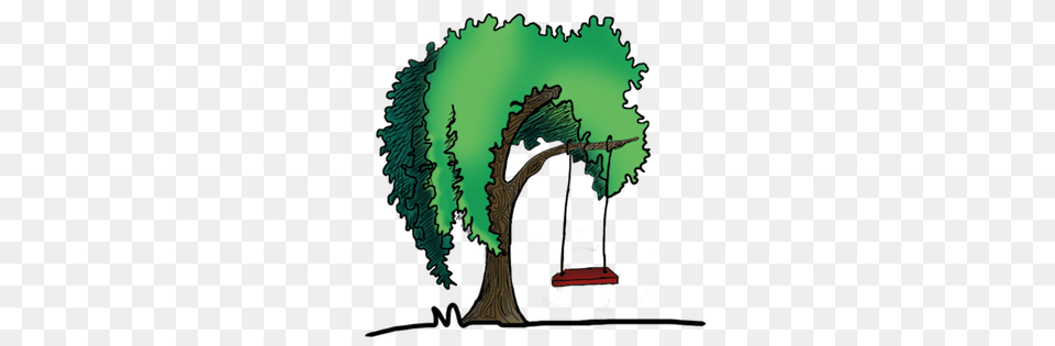 Willow Properties, Plant, Tree Free Transparent Png