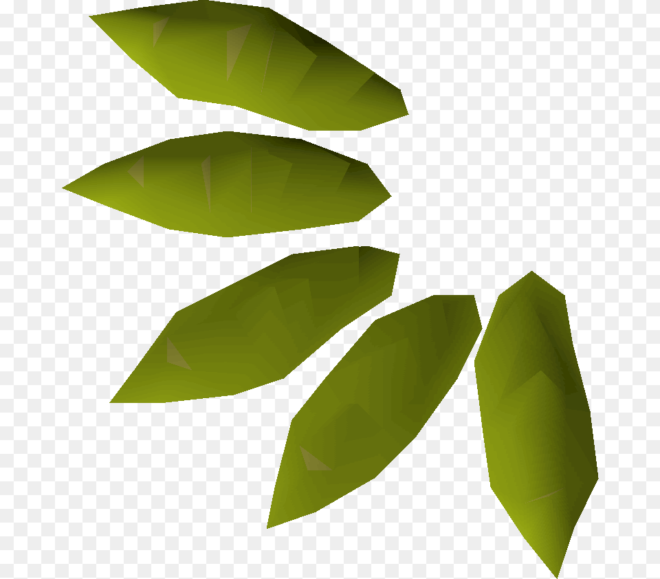 Willow Seed, Leaf, Plant, Animal, Fish Free Png Download
