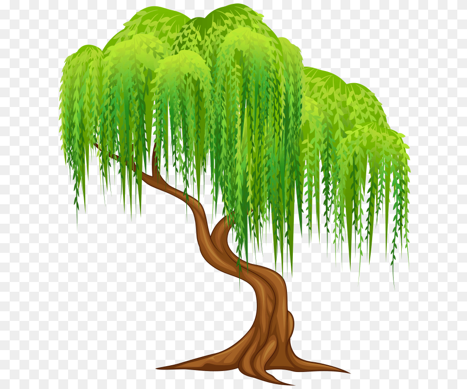 Willow Tree Clipart, Vegetation, Plant, Green, Woodland Png