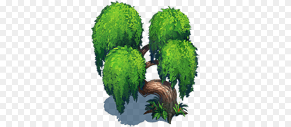 Willow Tree Tree, Green, Plant, Vegetation, Moss Free Transparent Png