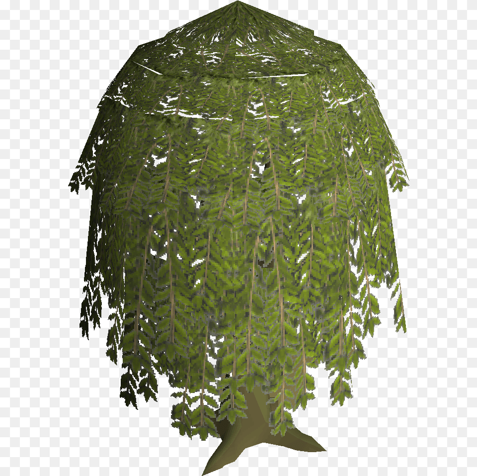 Willow Tree Umbrella, Plant, Green, Outdoors, Leaf Free Transparent Png