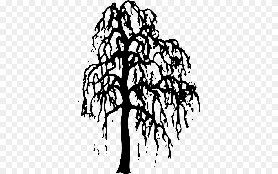 Willow Tree Vector Image Willow Tree Silhouette, Gray Free Png Download