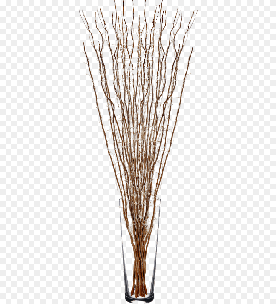 Willow Twigs With Fairy Lights Vase, Plant, Wood, Tree Png