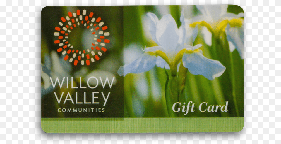 Willow Valley Gift Card Iris, Text, Flower, Plant Free Png Download