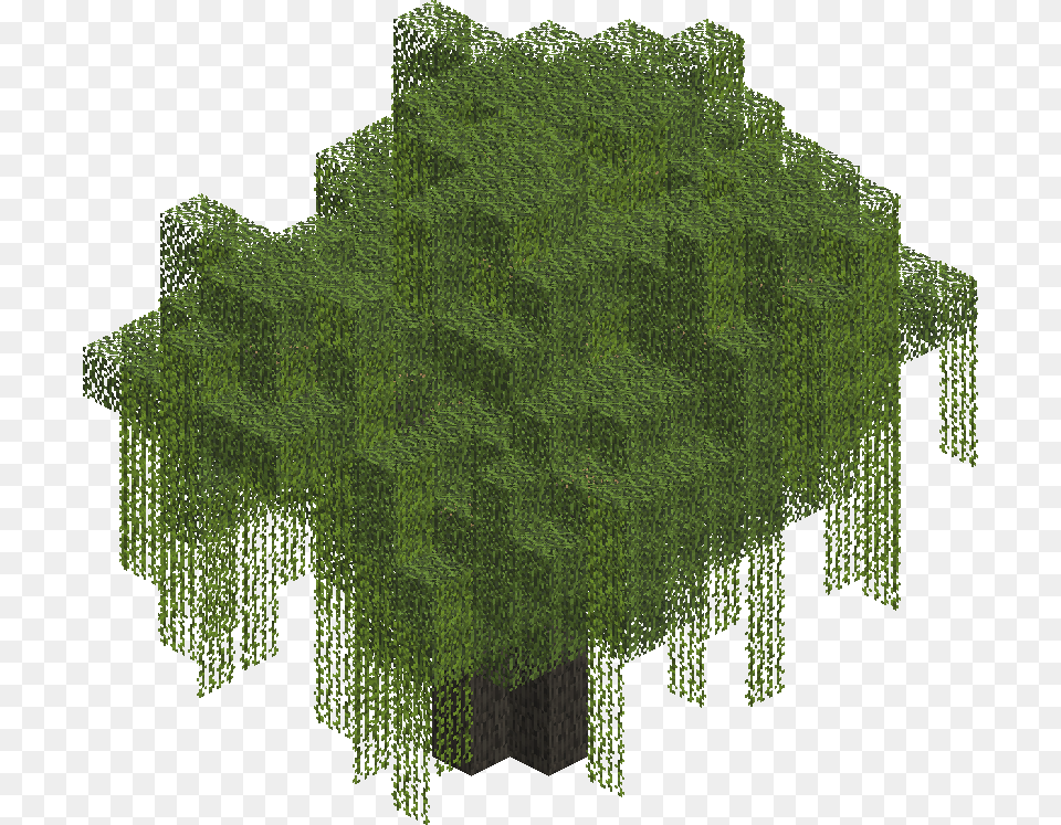 Willowtree Grass, Green, Plant, Tree, Vegetation Png Image