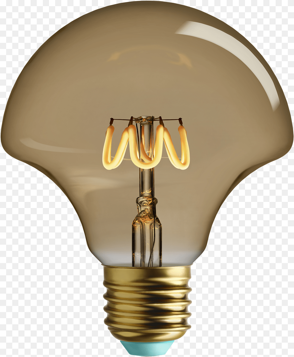 Wilma Plumen, Light, Lightbulb Free Png Download