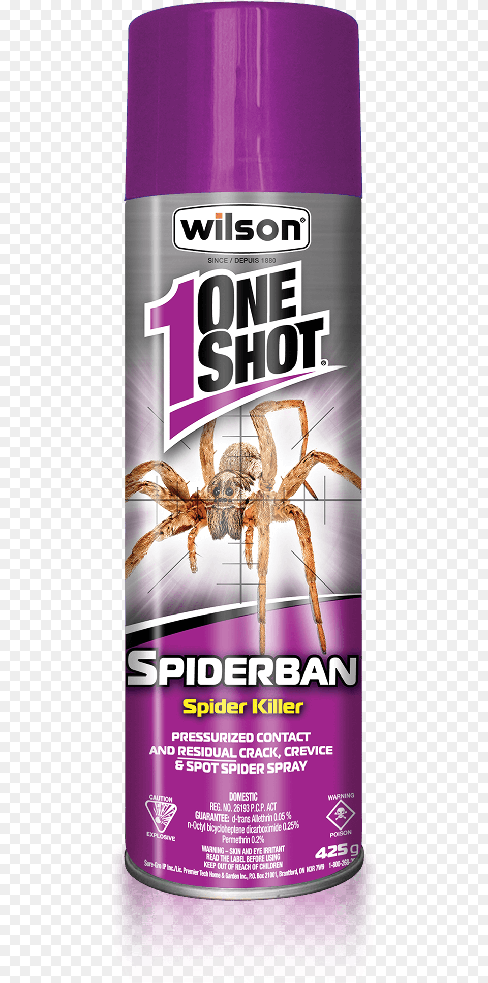 Wilson One Shot Spiderban Spider Killer 1 Shot Spider Spray, Animal, Invertebrate, Herbal, Herbs Free Transparent Png