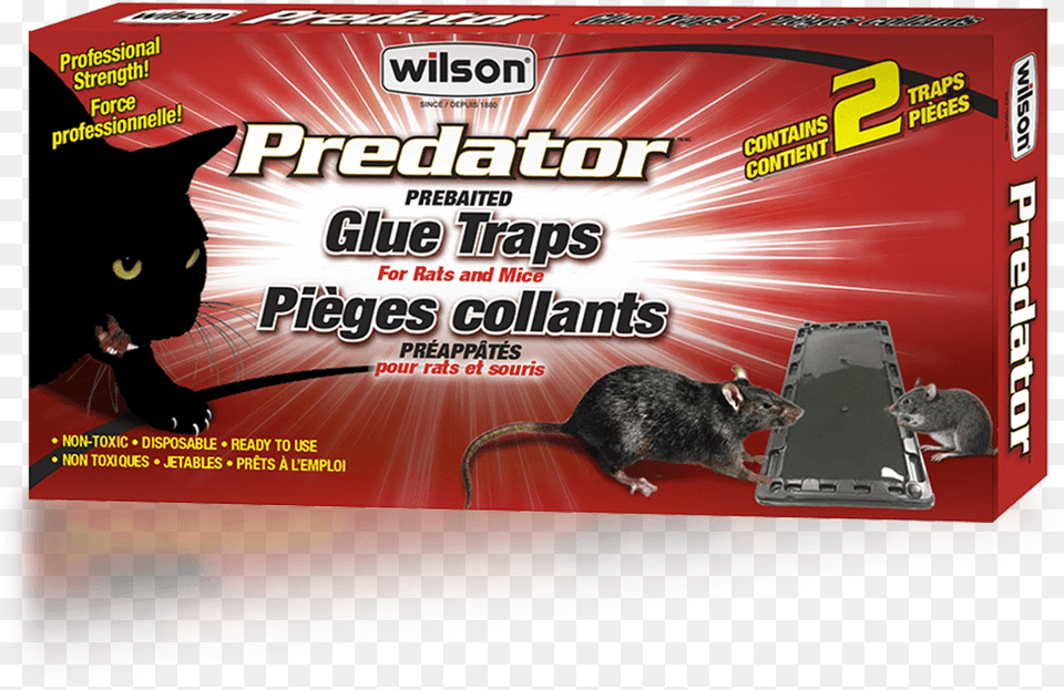 Wilson Predator Mice And Rats Glue Traps Flyer, Animal, Mammal, Rat, Rodent Png Image