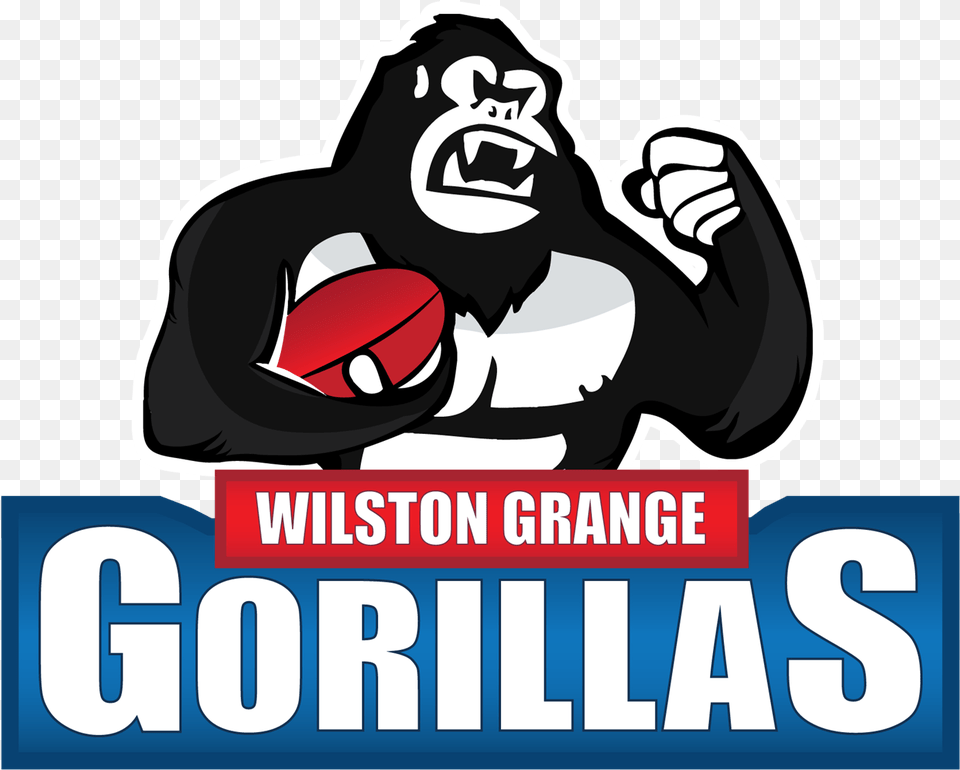 Wilston Grange Football Club, Animal, Ape, Mammal, Wildlife Png