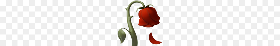 Wilted Flower Emoji On Apple Ios, Plant, Bell Pepper, Food, Pepper Png