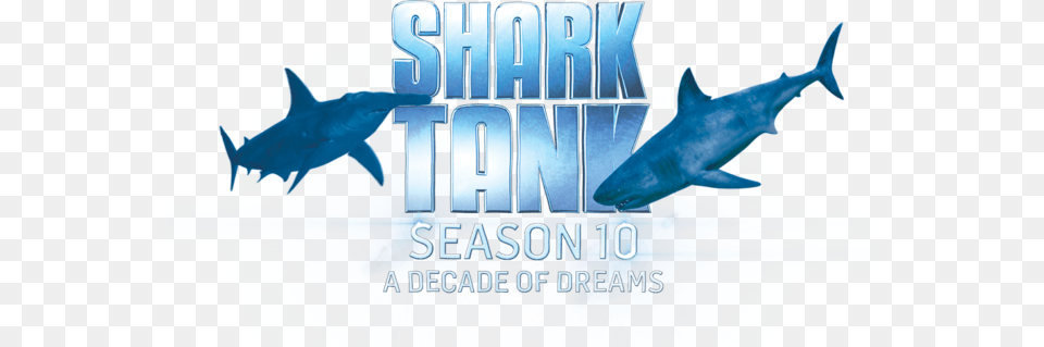 Win A Trip To La To Attend A Taping Of Shark Tank And Great White Shark, Animal, Fish, Sea Life Png