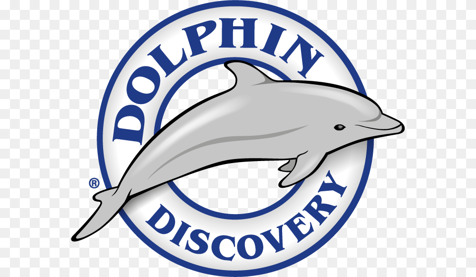 Win And Swim With Dolphins In My Royal Moment Contest, Animal, Dolphin, Mammal, Sea Life Png Image