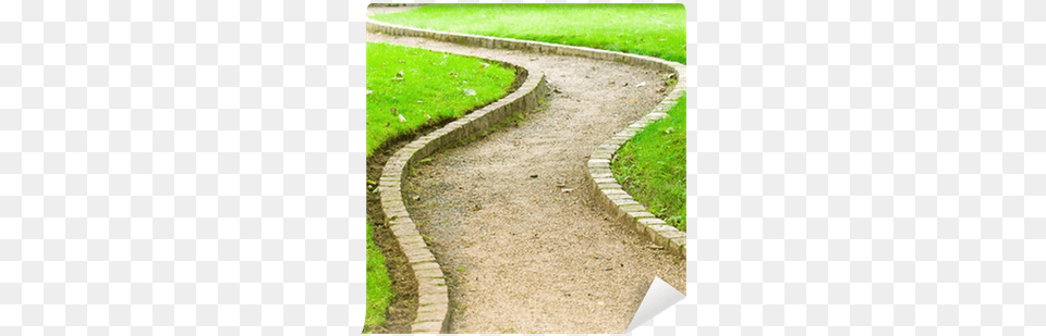 Winding Path In Botanical Garden Wall Mural Pixers Winding Path, Grass, Sidewalk, Road, Plant Png Image