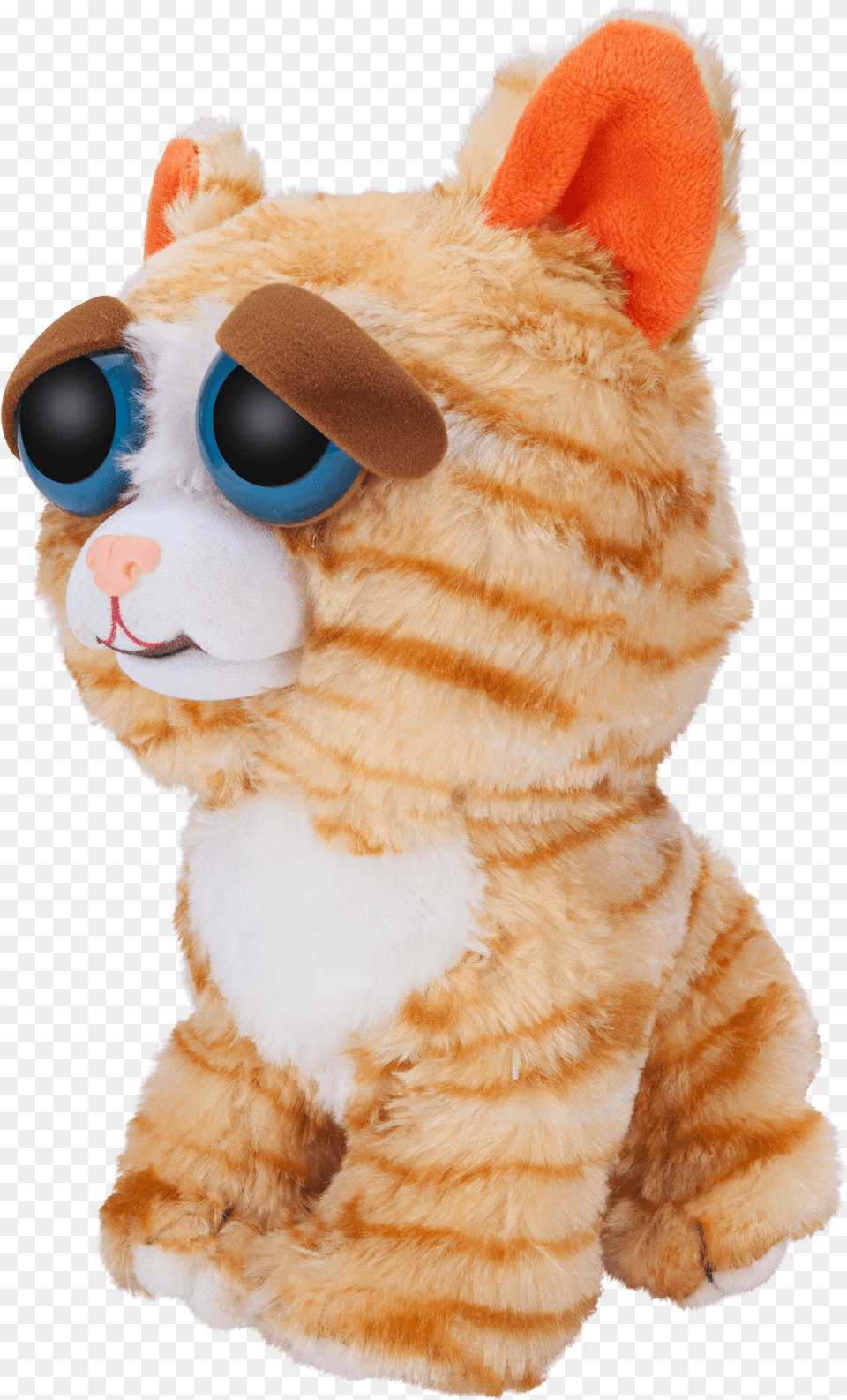 Window Box Feisty Pets Orange Cat Plush Feisty Pets, Toy Free Png