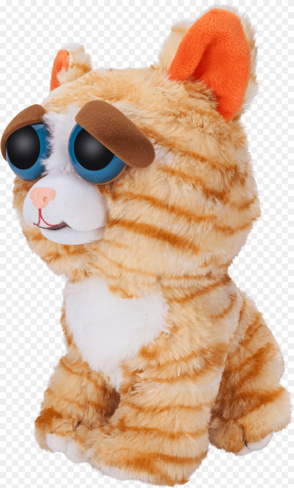 Window Box Feisty Pets Orange Cat Plush Tiger, Toy Png