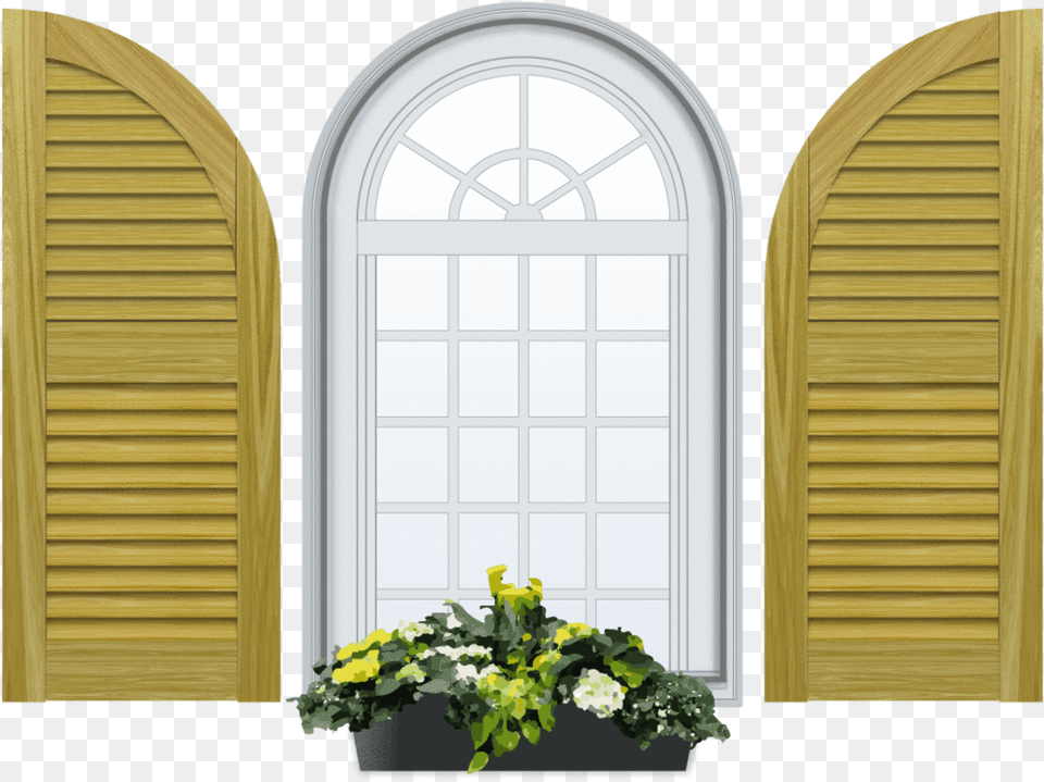Window Shutter, Curtain, Plant, Potted Plant, Leaf Free Transparent Png