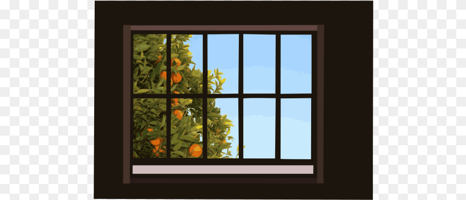 Window With Orange Tree Window Background, Citrus Fruit, Food, Fruit, Plant Free Transparent Png