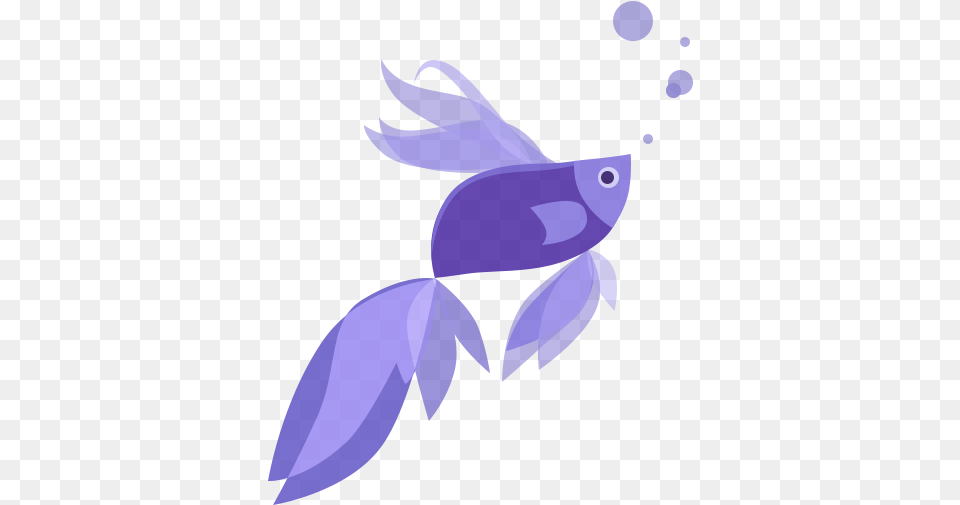 Windows 81 Betta Fish, Animal, Sea Life, Baby, Person Free Png Download