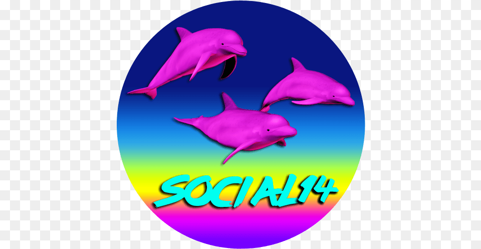 Windows 98 Being Watched Vaporwave T Shirt Social14 Common Bottlenose Dolphin, Animal, Mammal, Sea Life, Fish Png
