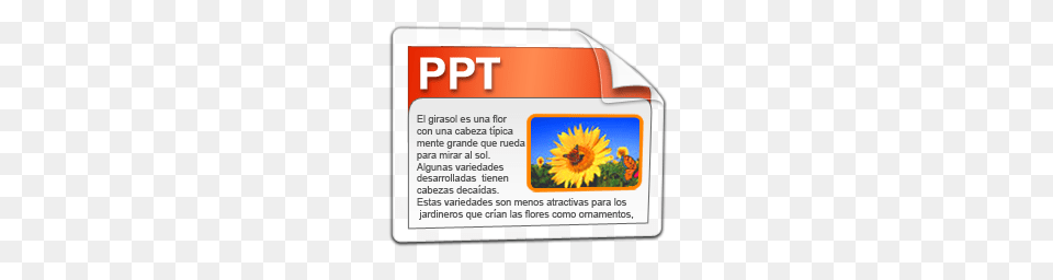 Windows App Icons, Text, Flower, Plant, Sunflower Free Png