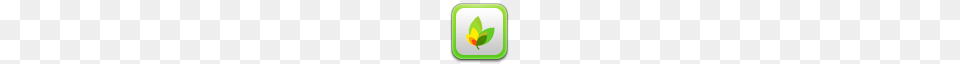 Windows App Icons, Herbal, Plant, Leaf, Herbs Free Png