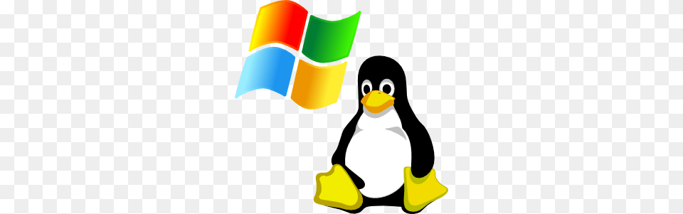 Windows Clip Art, Animal, Bird, Penguin, Nature Free Png Download