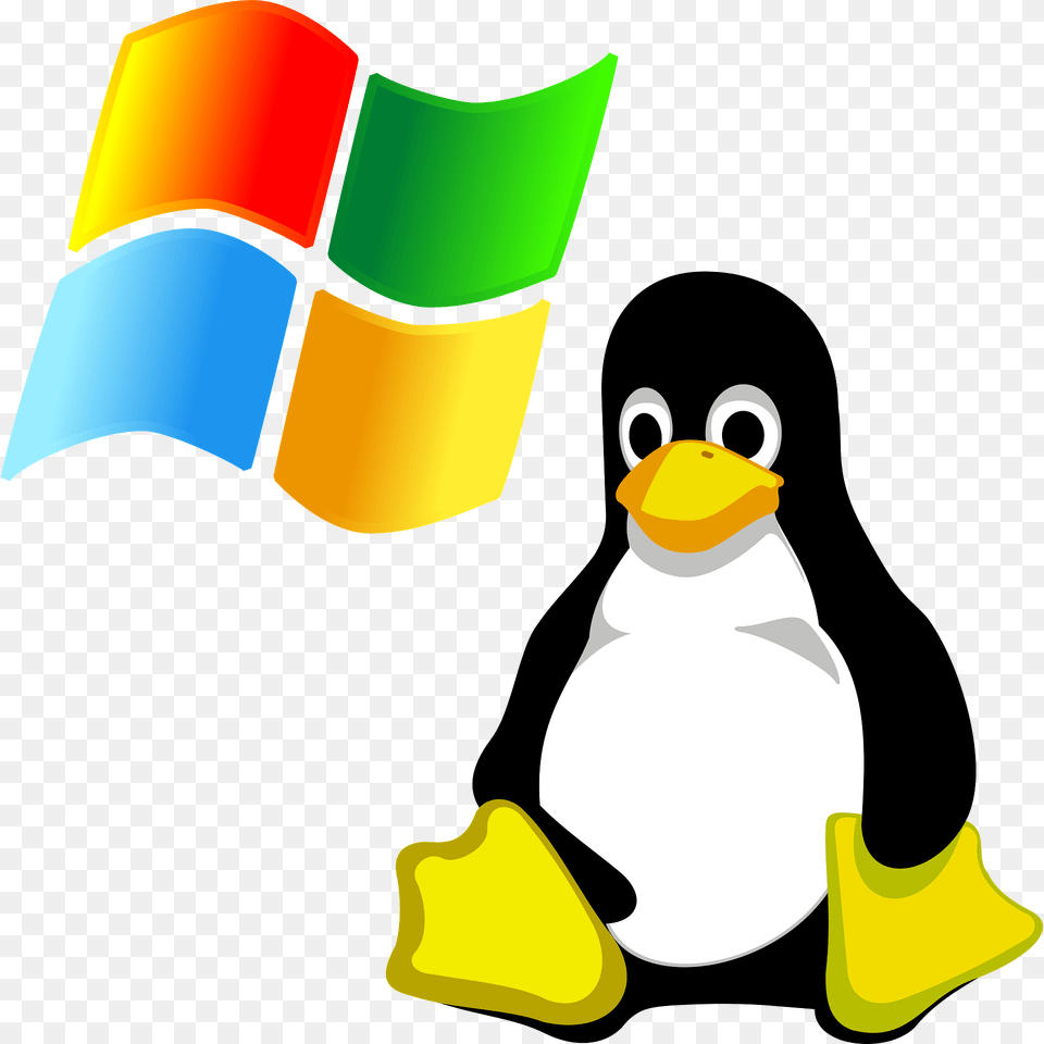 Windows Clipart, Animal, Bird, Penguin Free Png Download