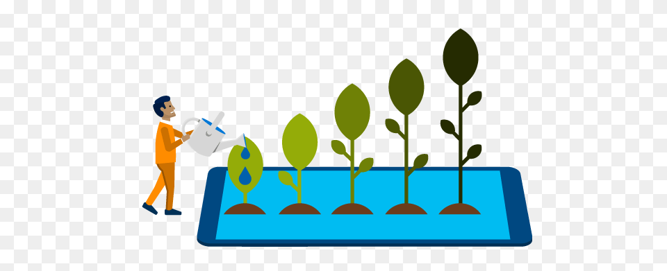 Windows Dev Essentials, Person, Plant, Potted Plant, Outdoors Free Transparent Png
