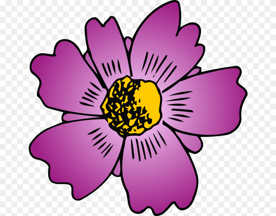 Windows Metafile Petal Encapsulated Postscript Flower Download, Anemone, Plant, Purple, Daisy Free Transparent Png