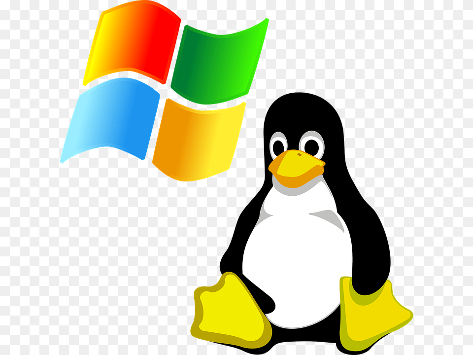 Windows Vs Linux Windows And Linux Icon, Animal, Bird, Penguin, Nature Png