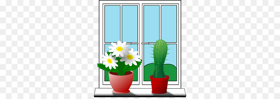 Windowsill Daisy, Flower, Plant, Potted Plant Free Png