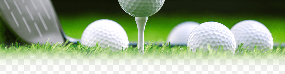 Windsor Golf Course Golf Ball, Grass, Plant, Golf Ball, Sport Free Transparent Png