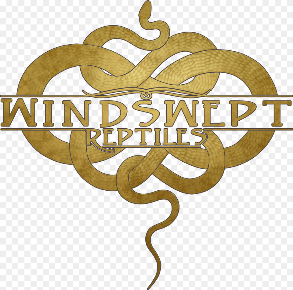 Windswept Reptiles Logo Alison Parks Tierarzt, Emblem, Symbol, Animal, Reptile Free Transparent Png