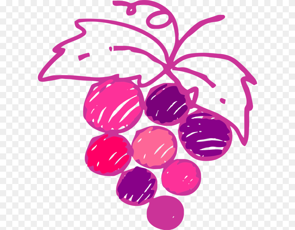 Wine Common Grape Vine Drawing Varietal Grape Vines Drawing, Art, Graphics, Purple, Food Free Transparent Png