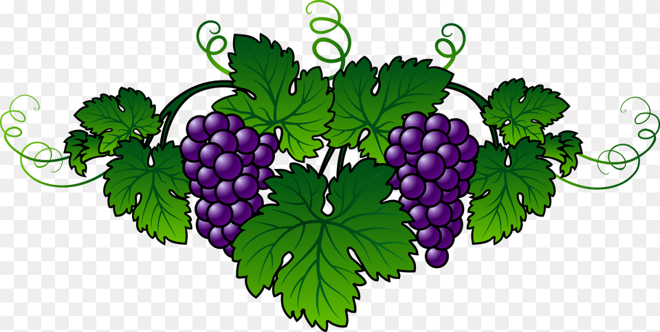 Wine Common Grape Vine Embroidery Berry Grape, Food, Fruit, Grapes, Plant Png Image