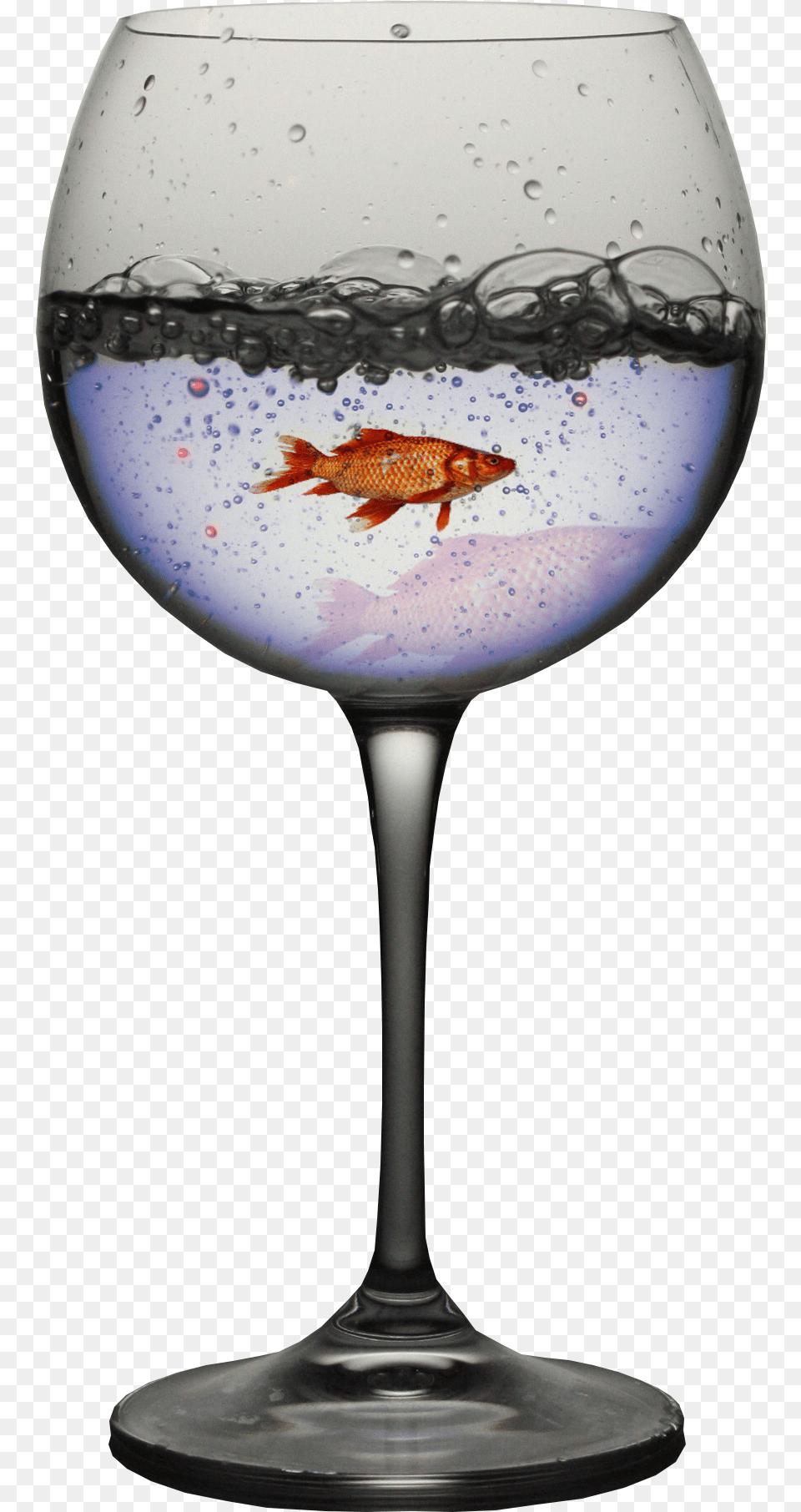 Wine Glass, Animal, Fish, Sea Life, Goblet Free Png