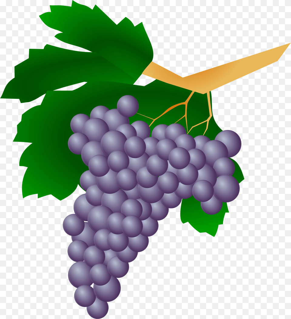 Wine Grapes Clip Art, Food, Fruit, Plant, Produce Free Png