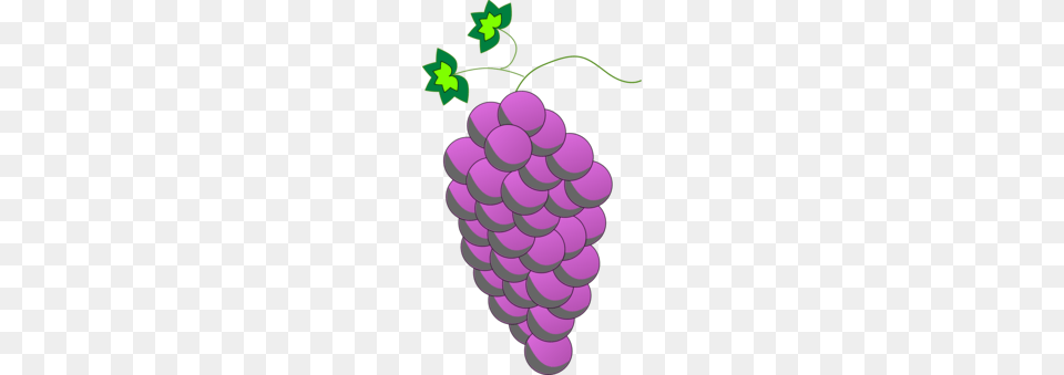 Wine Logo Brand Grape City, Food, Fruit, Grapes, Plant Free Png Download