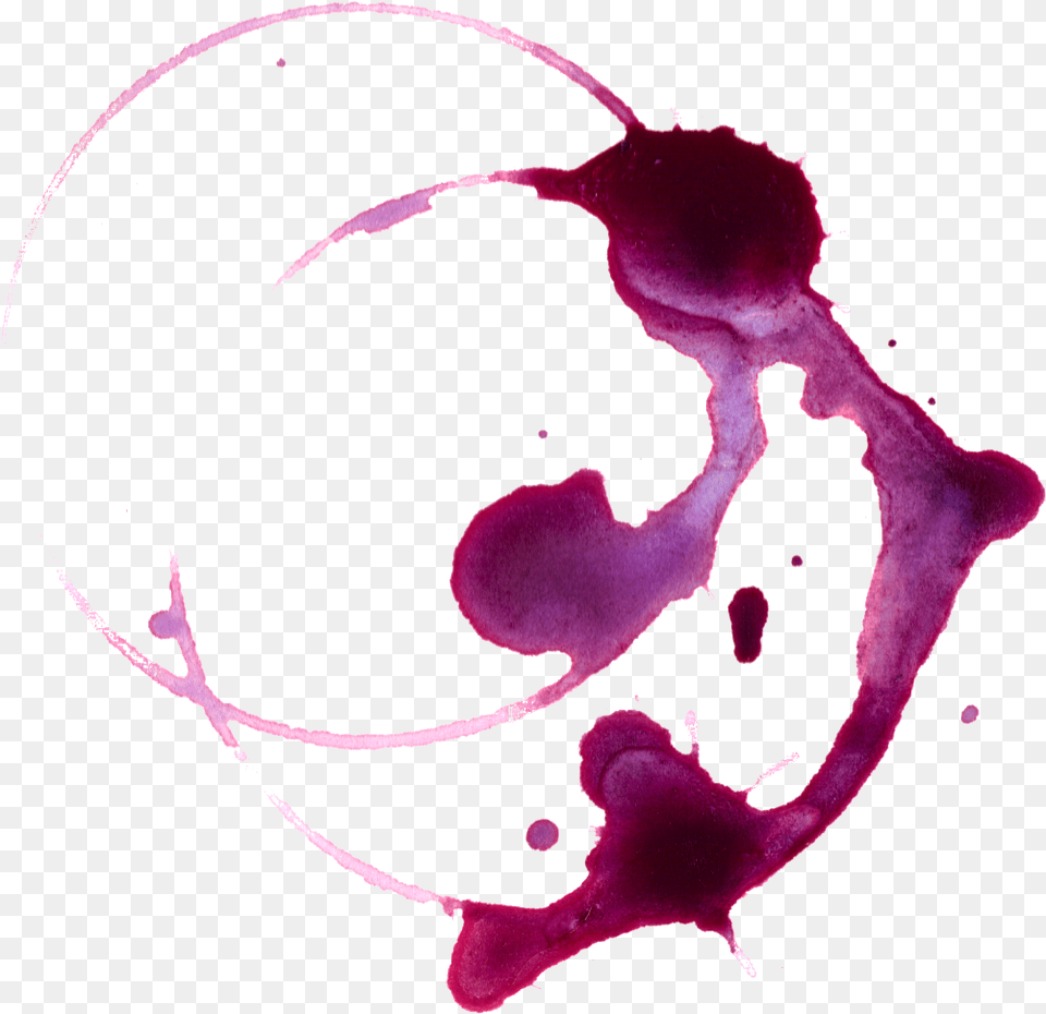 Wine Stain Spill Transparent Transparent Wine Stain, Plant, Purple Png
